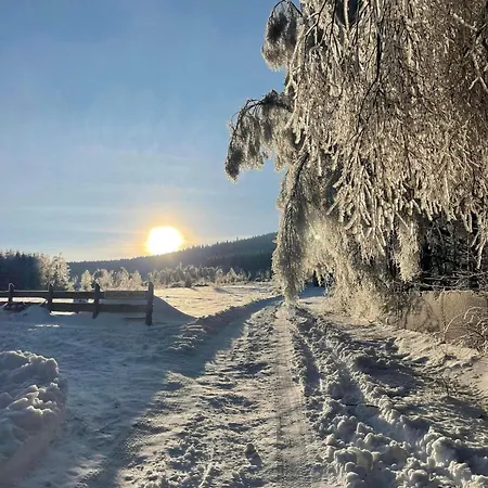 Helenowa Polana * Stary Gieraltow