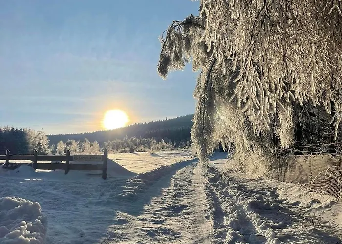 Helenowa Polana * Stary Gieraltow